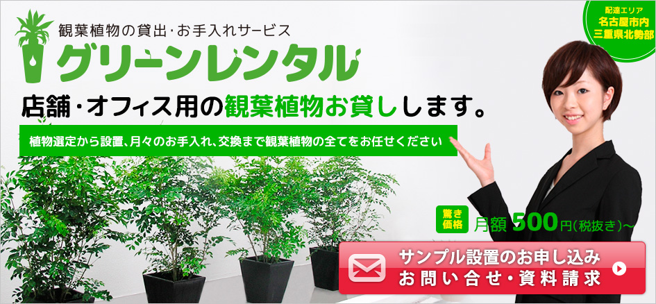 観葉植物の貸出・お手入れサービス グリーンレンタル サンプル設置やお問い合わせなどはこちらから。