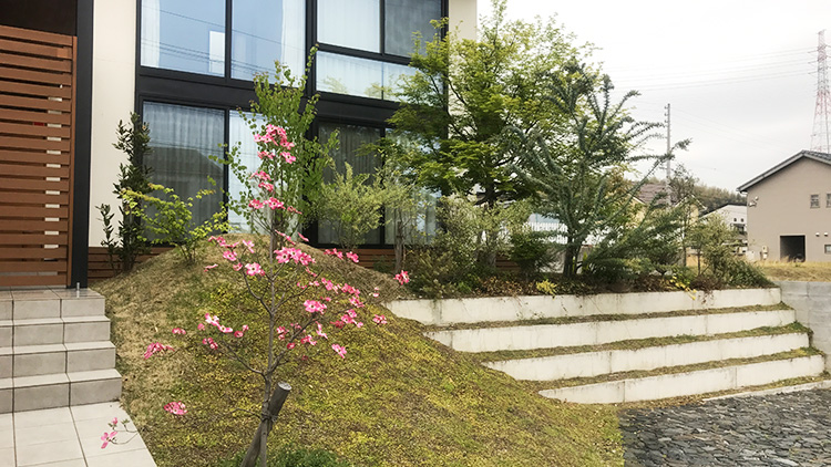 事例写真05【半年後】