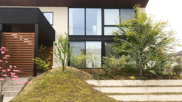 事例写真06【半年後】